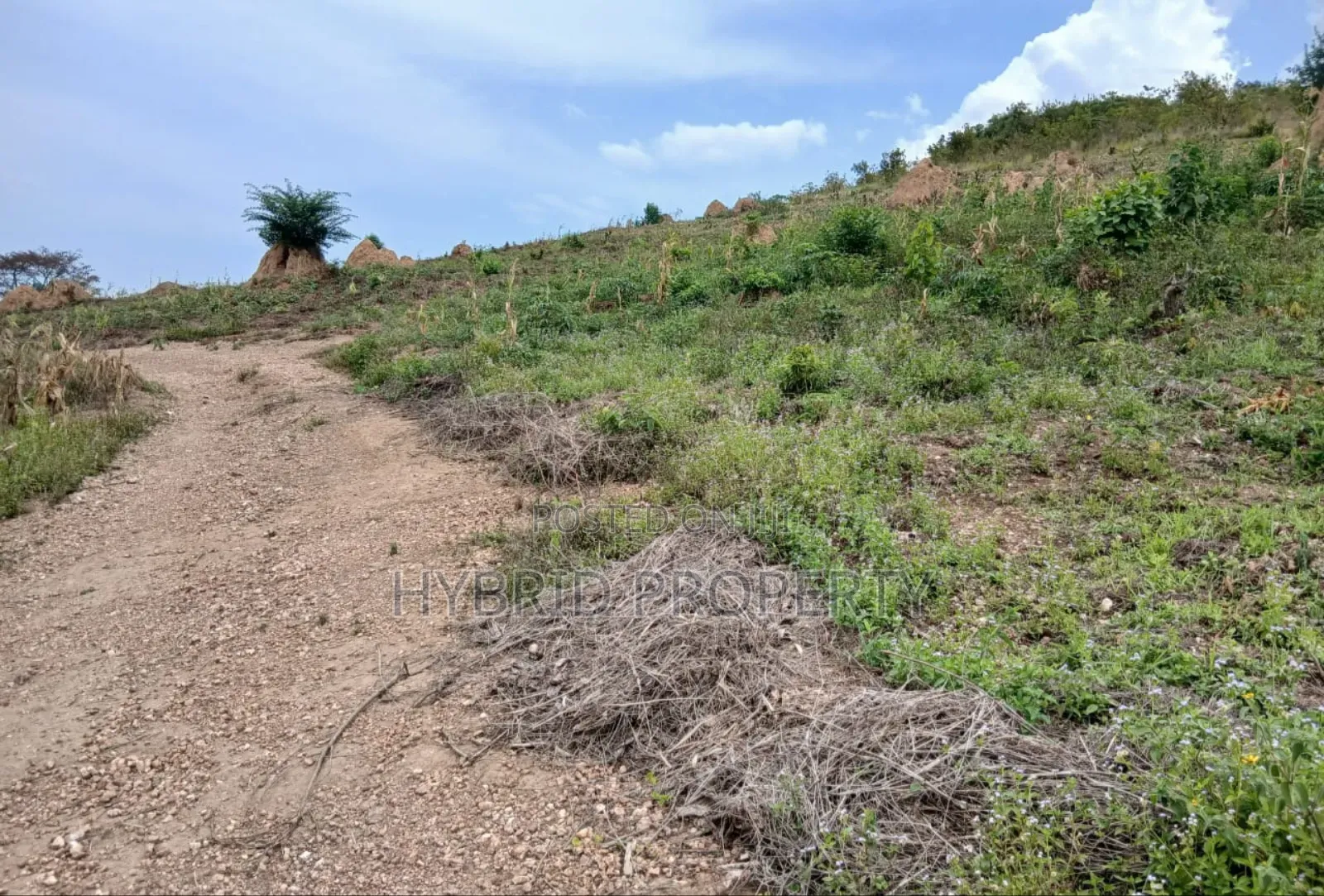 80acres Of Land For Sale At Busunju Hill~Hoima Road [Mityana District]