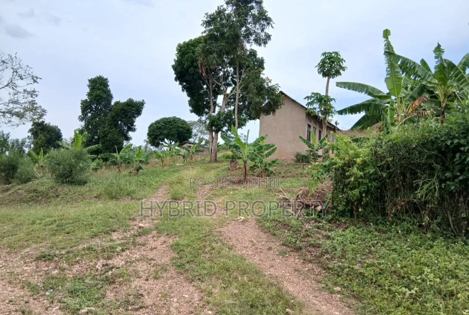80acres Of Land For Sale At Busunju Hill~Hoima Road [Mityana District]