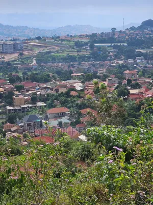 Prime 2acres Of Land For Sale At Bunamwaya Viewing Lubowa~Entebbe Road