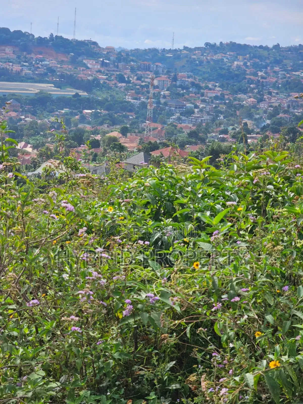 Prime 2acres Of Land For Sale At Bunamwaya Viewing Lubowa~Entebbe Road