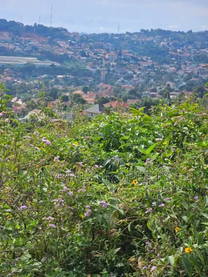 Prime 2acres Of Land For Sale At Bunamwaya Viewing Lubowa~Entebbe Road