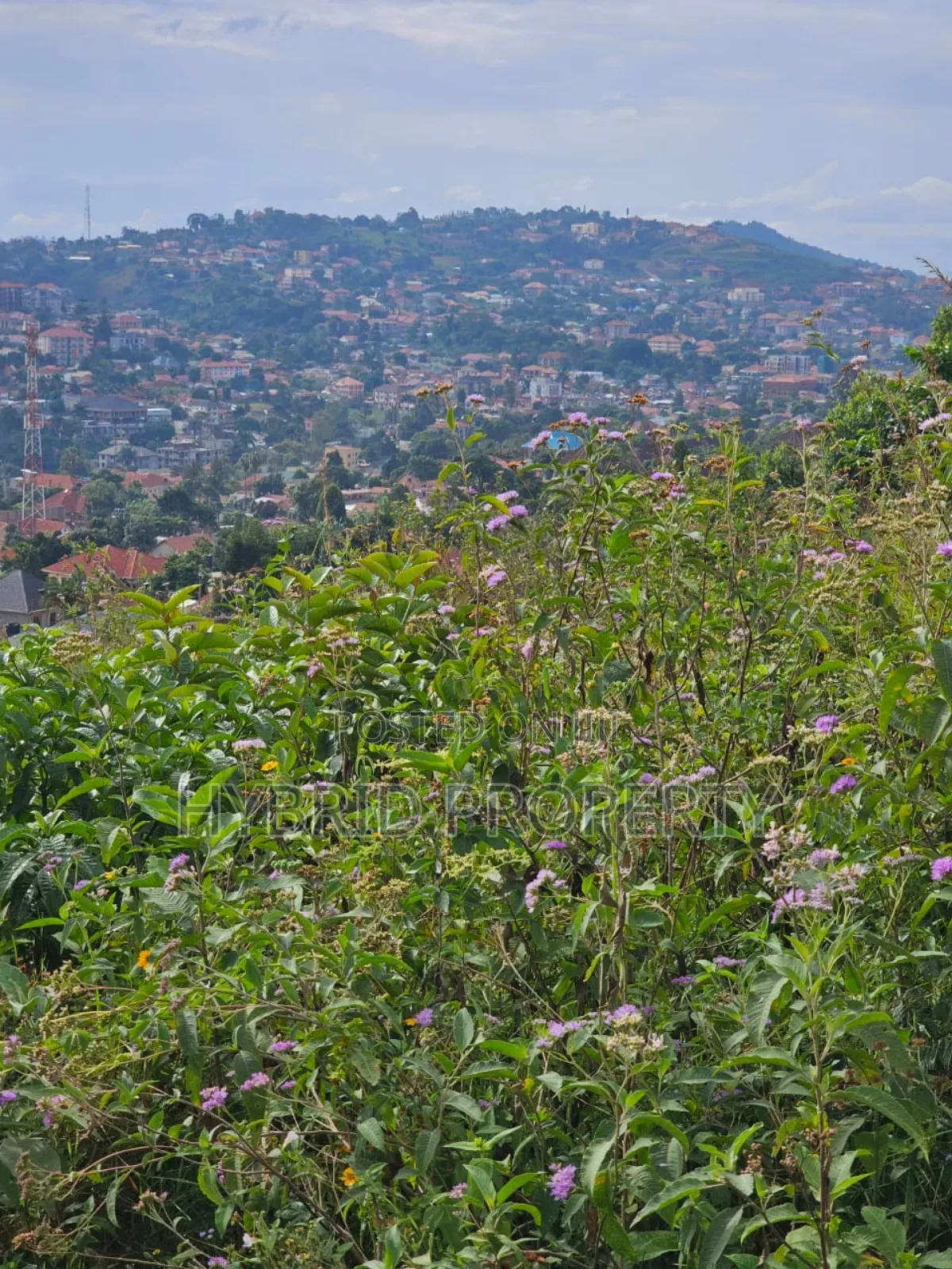 Prime 2acres Of Land For Sale At Bunamwaya Viewing Lubowa~Entebbe Road