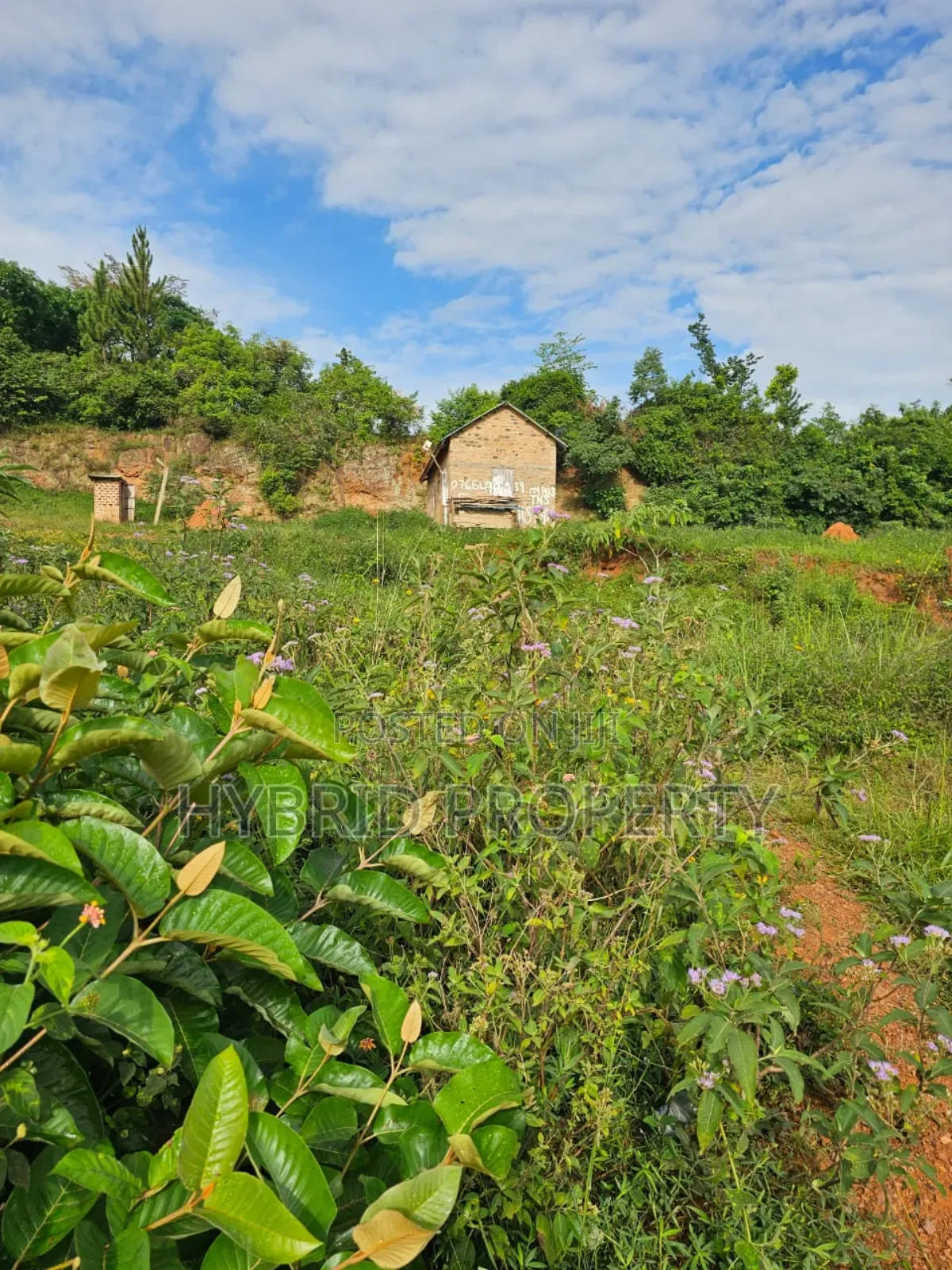 Prime 2acres Of Land For Sale At Bunamwaya Viewing Lubowa~Entebbe Road