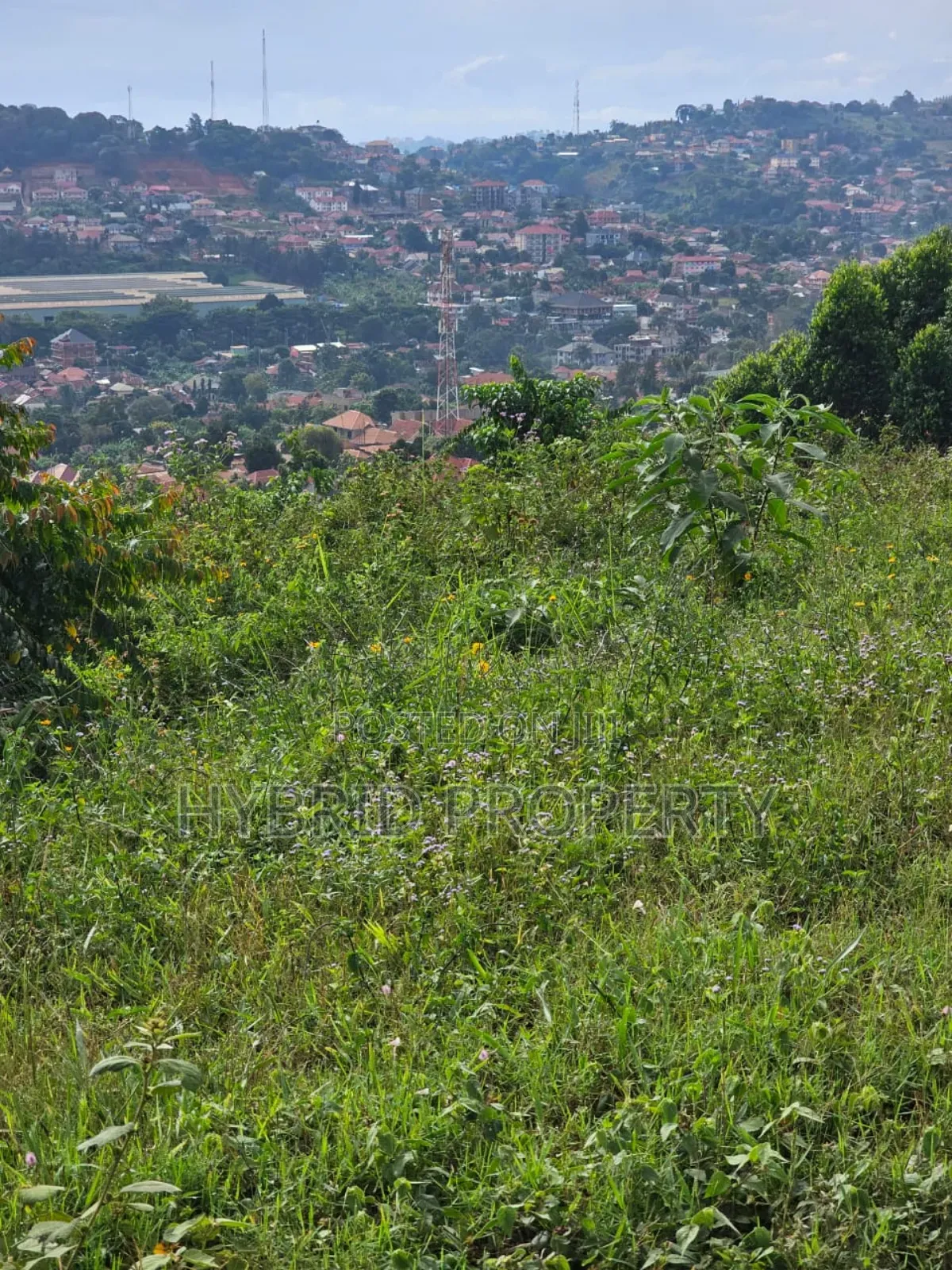 Prime 2acres Of Land For Sale At Bunamwaya Viewing Lubowa~Entebbe Road