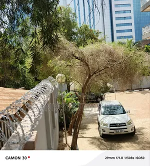 Razorwire Fencing Stainless