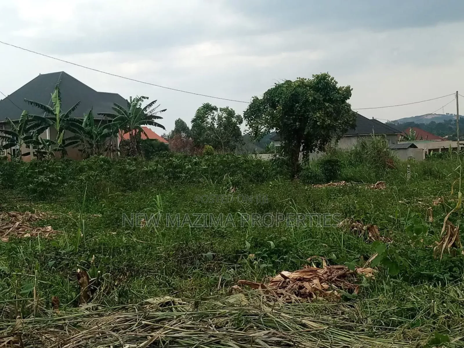 Very Beautiful Plot Equivalent to 100 Ft X 80 Ft Forcedsale With Title