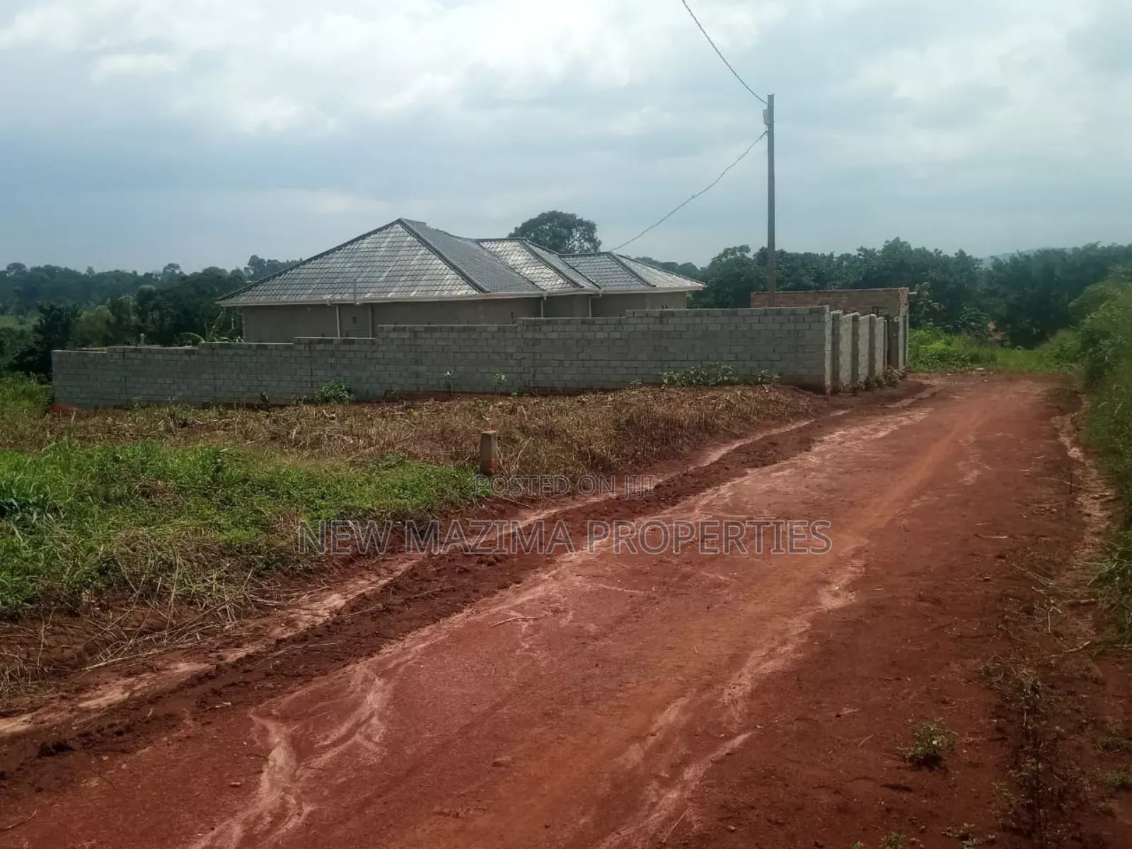 Very Beautiful Plot Equivalent to 100 Ft X 80 Ft Forcedsale With Title