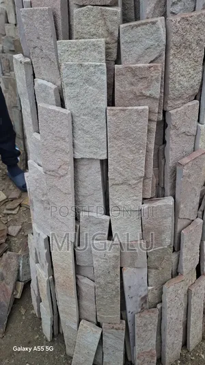 Moshelity Construction