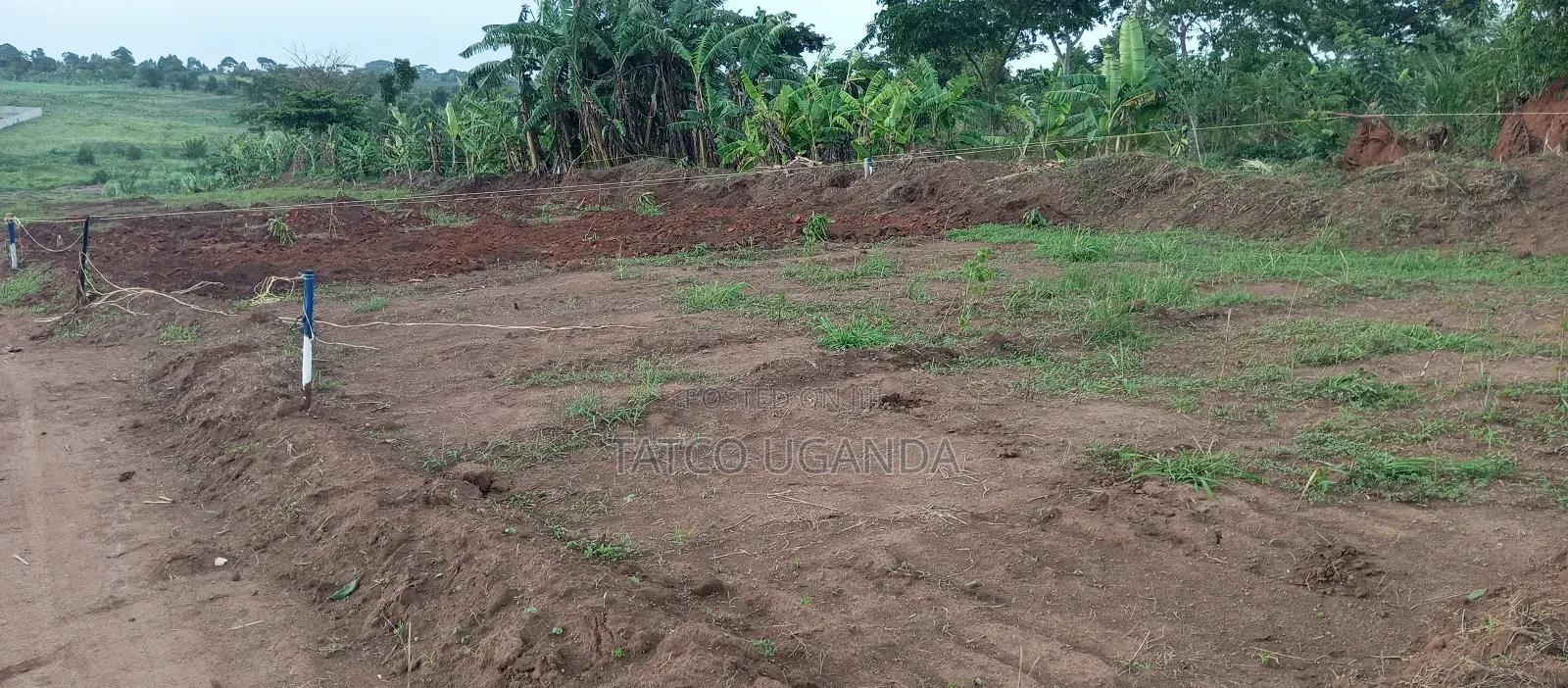 100x50 Ft Plot of Land for Quick Sale
