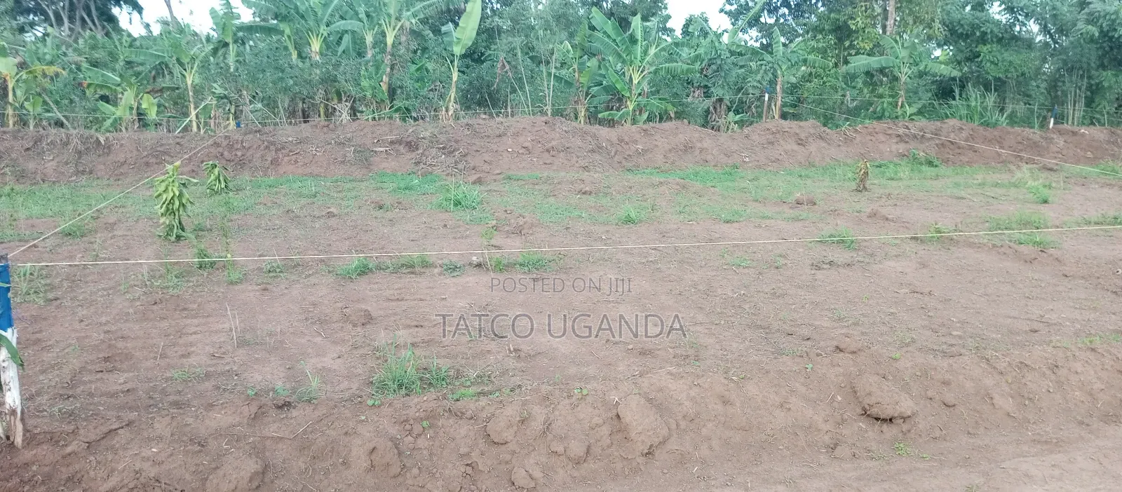 100x50 Ft Plot of Land for Quick Sale