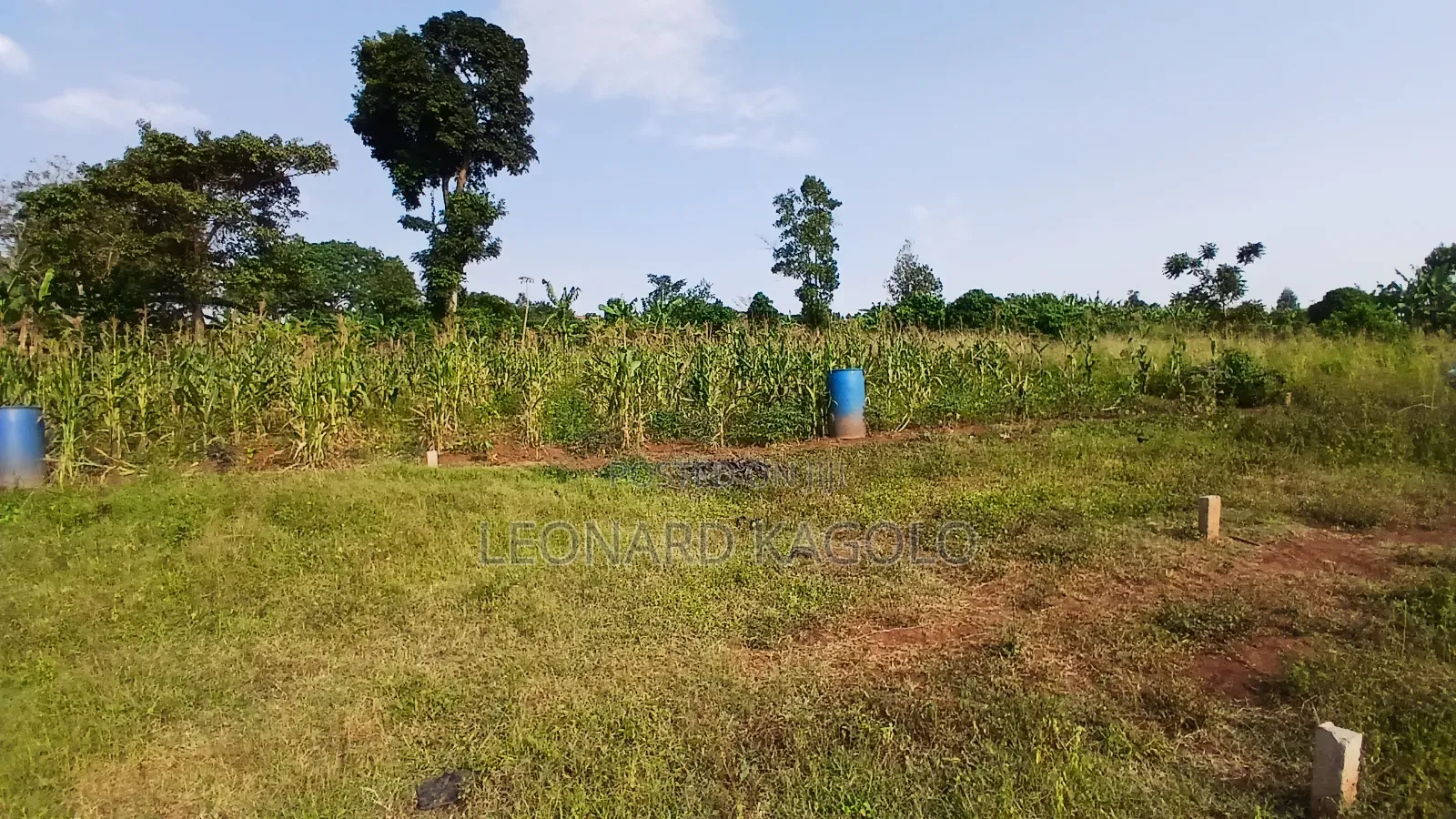 Residential Plot On Sale At Katende Luvumbula