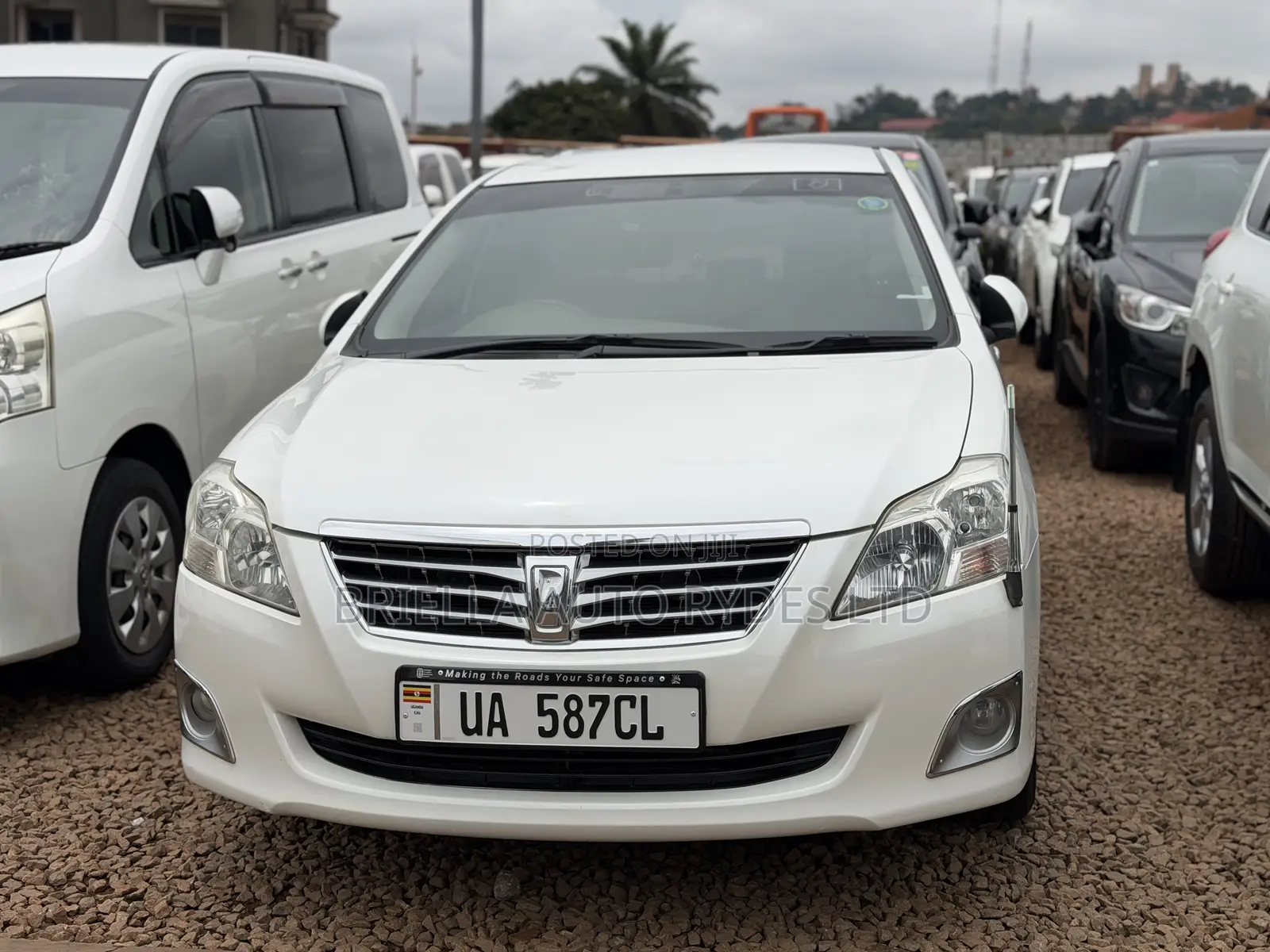 Toyota Premio 2013 White