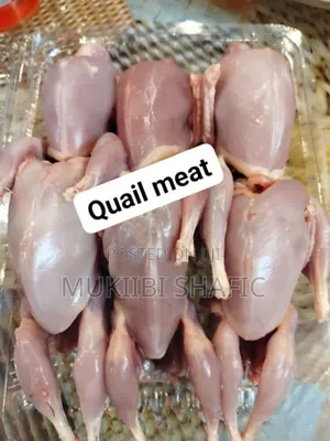 Quail Fresh Delicious Meat With Health Benefits