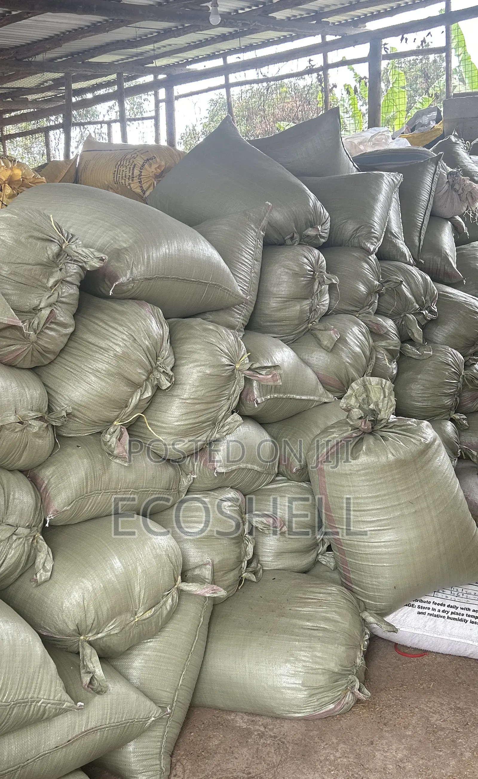 Chicken Manure