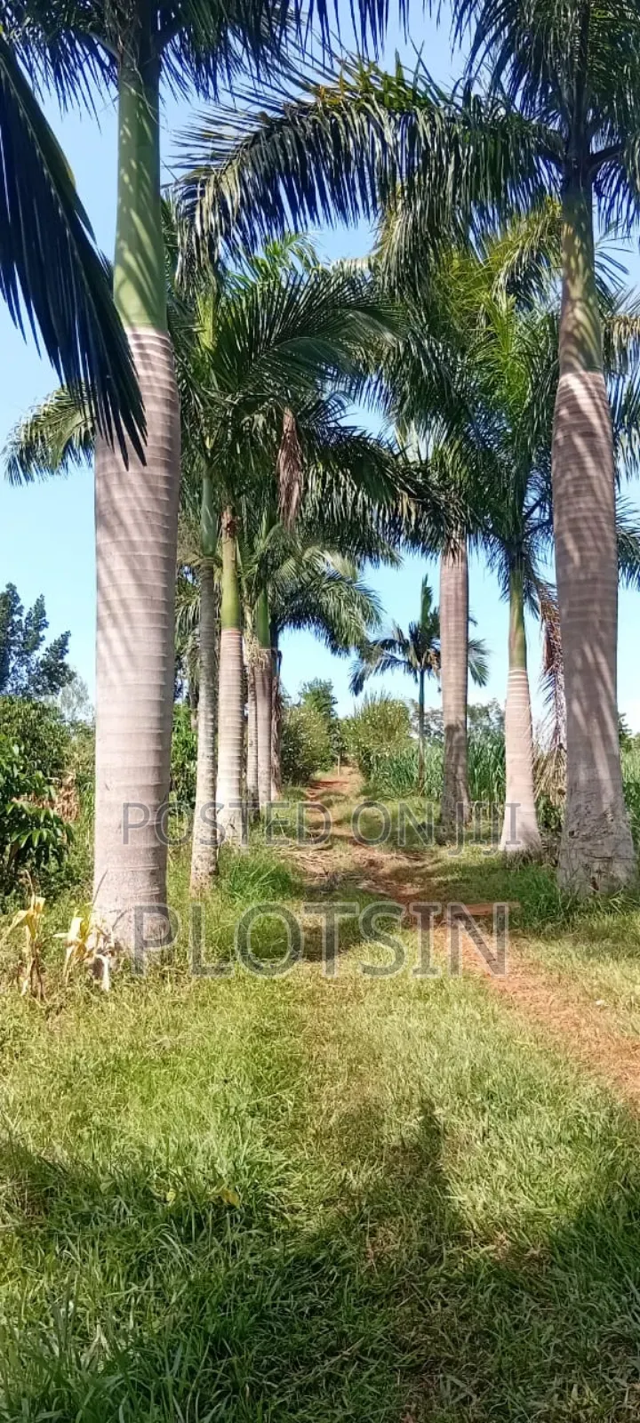 2 Acres on the River Nile With a View of the Water Falls
