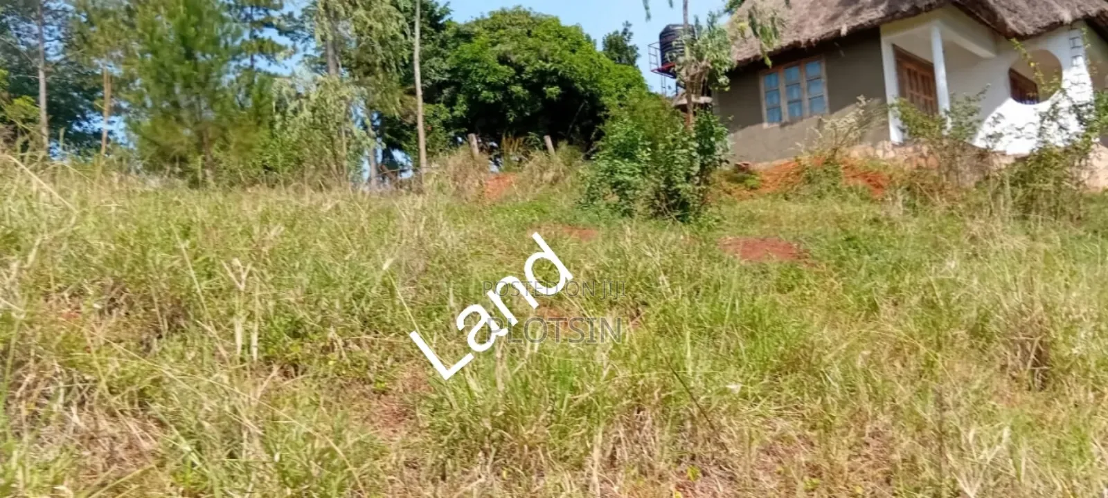 2 Acres on the River Nile With a View of the Water Falls