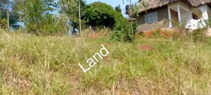 2 Acres on the River Nile With a View of the Water Falls