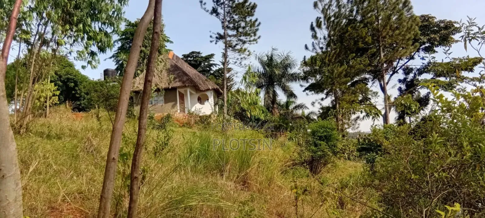 2 Acres on the River Nile With a View of the Water Falls
