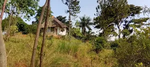 2 Acres on the River Nile With a View of the Water Falls