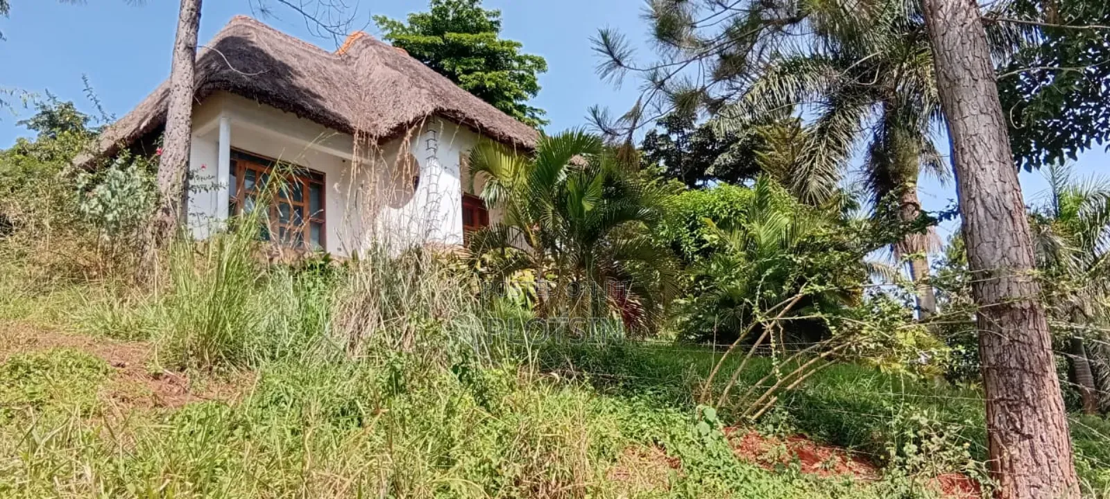 2 Acres on the River Nile With a View of the Water Falls