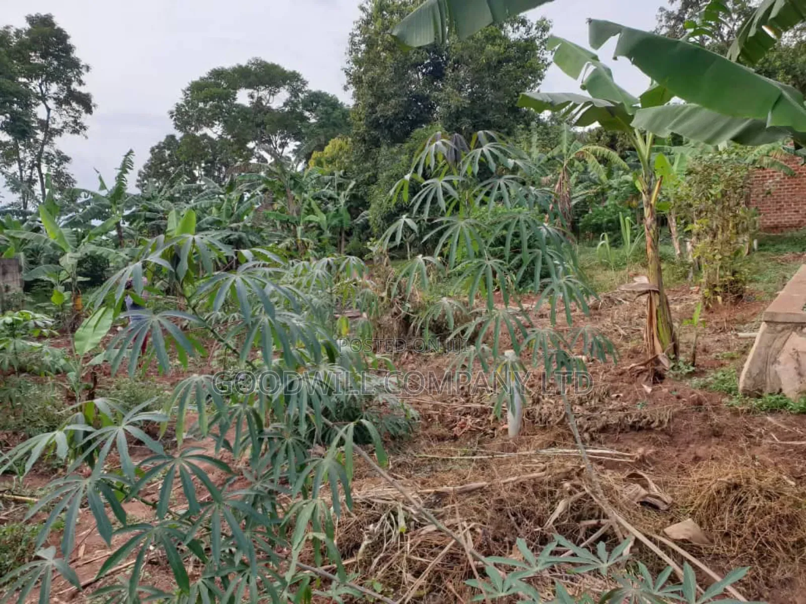 10 Decimals of Land in Kira Mamerito Road