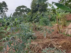 10 Decimals of Land in Kira Mamerito Road
