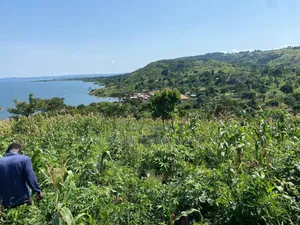 10 Acres to 100 Acres of Land in Nyenga Nkokonjeru