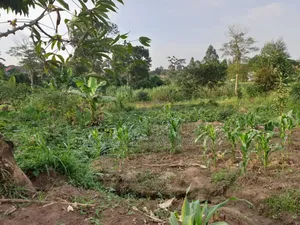 8 Acres of Land in Namugongo Nsawo