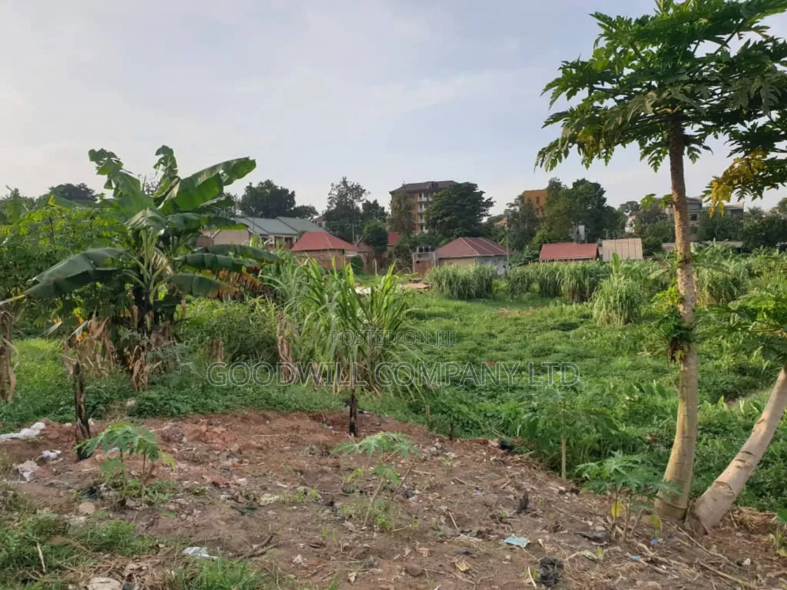 8 Acres of Land in Namugongo Nsawo