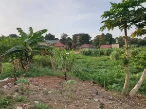 8 Acres of Land in Namugongo Nsawo