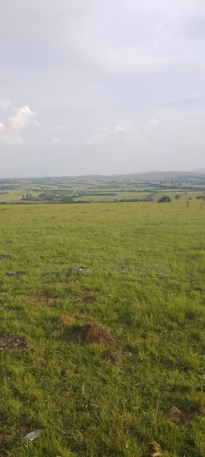 10 Hectares of Land for Sale in Rubaare Ntungamo 70m Each