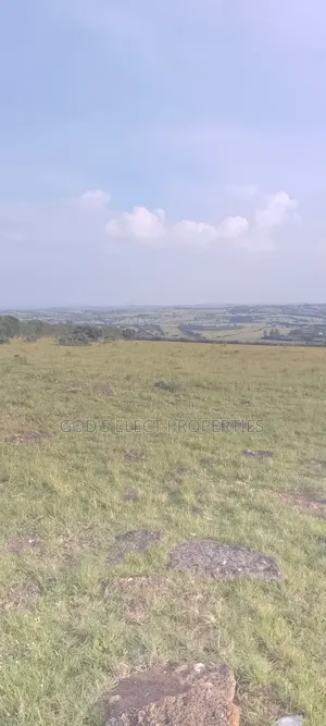 10 Hectares of Land for Sale in Rubaare Ntungamo 70m Each
