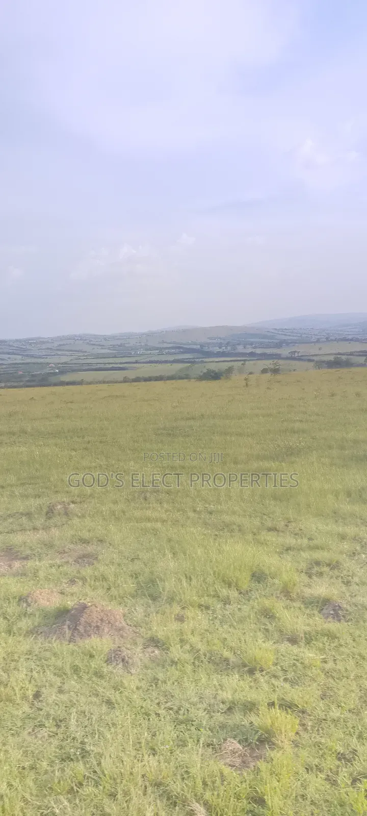 10 Hectares of Land for Sale in Rubaare Ntungamo 70m Each