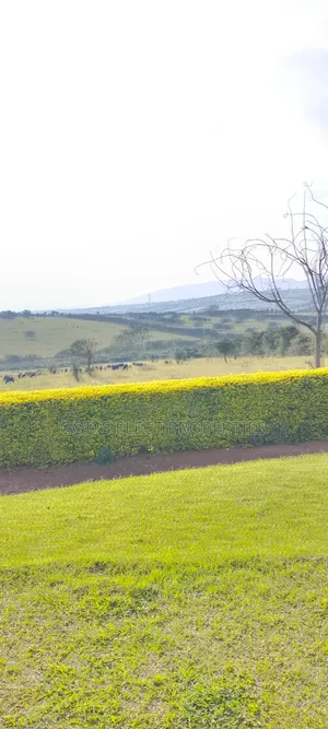 10 Hectares of Land for Sale in Rubaare Ntungamo 70m Each