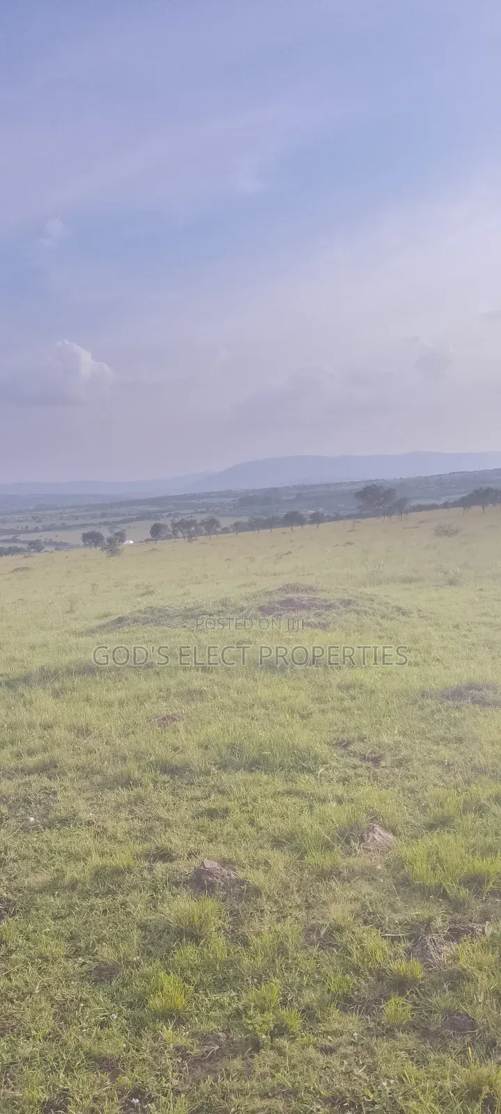 10 Hectares of Land for Sale in Rubaare Ntungamo 70m Each
