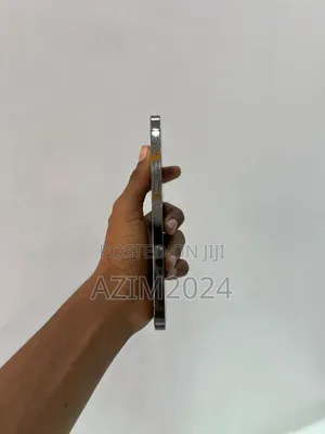 Apple iPhone 13 Pro Max 256 GB Silver