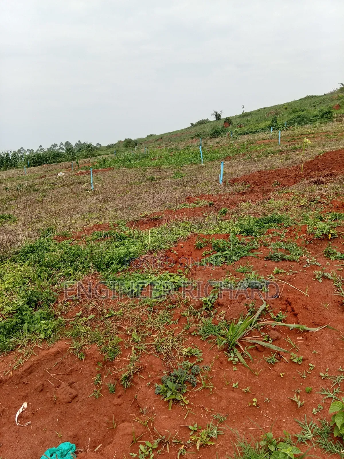 Bukasa Temangaro Prime Estate