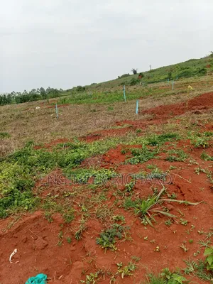 Bukasa Temangaro Prime Estate