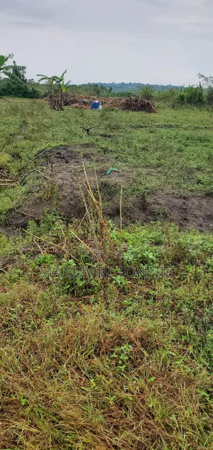 Land for Sell