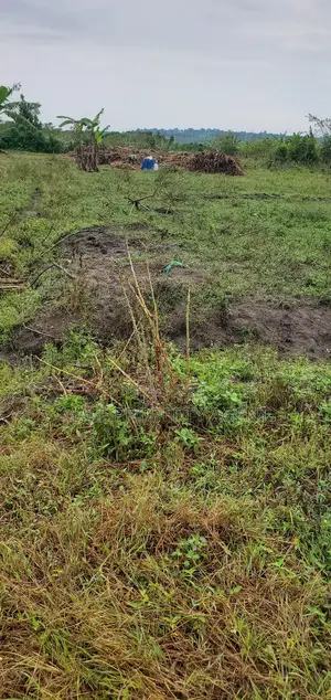 Land for Sell