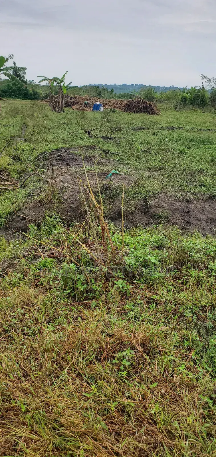 Land for Sell