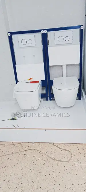 Classy Concealed Toilet