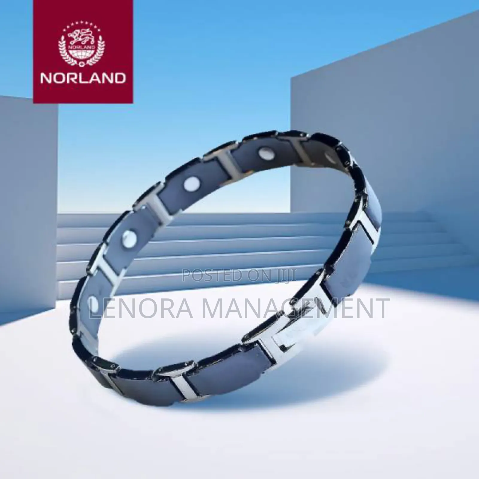 Energy Bracelet