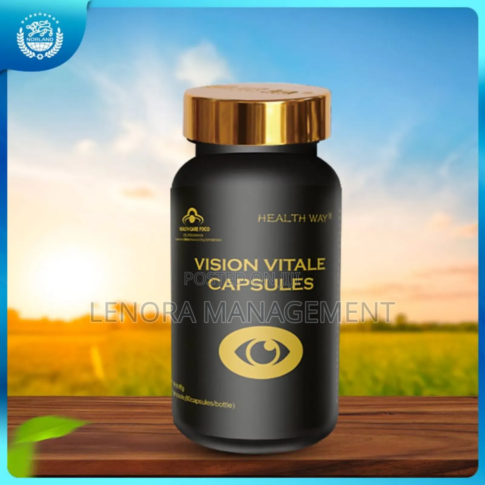 Vision Vitale Capsules