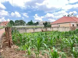 200x100 Plot for Sale in Kira Kasangati Road