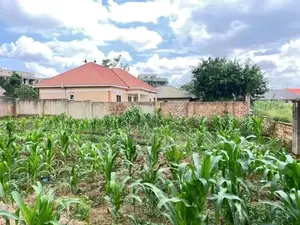 200x100 Plot for Sale in Kira Kasangati Road