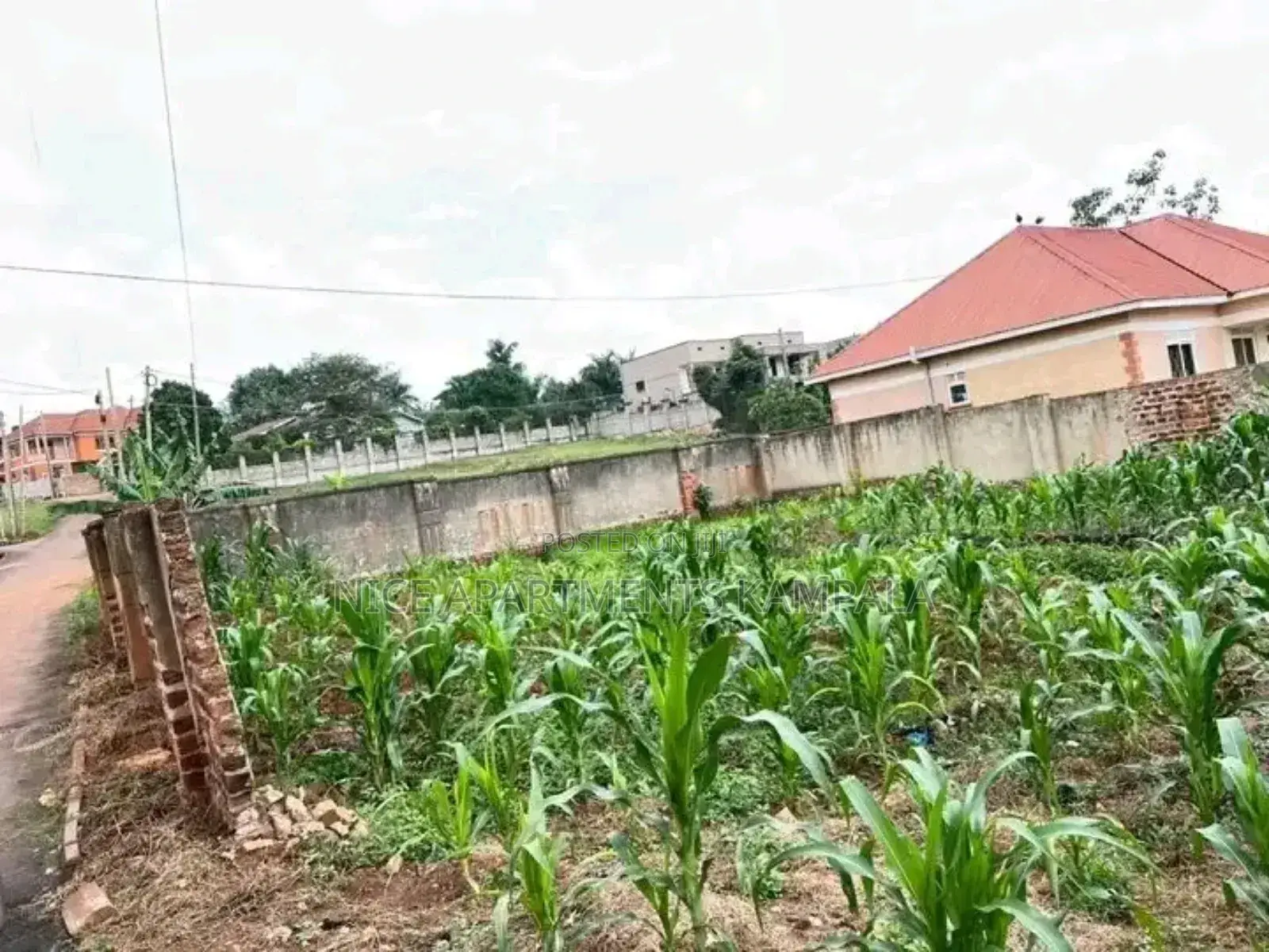 200x100 Plot for Sale in Kira Kasangati Road