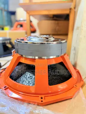 Double Magnet Speakers