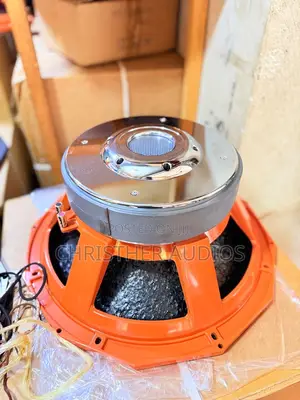 Double Magnet Speakers