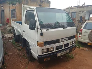 Tipper White